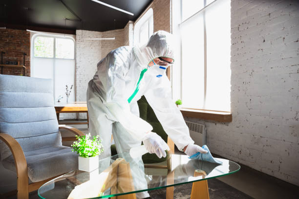 Best Commercial Mold Inspection  in Justice, IL